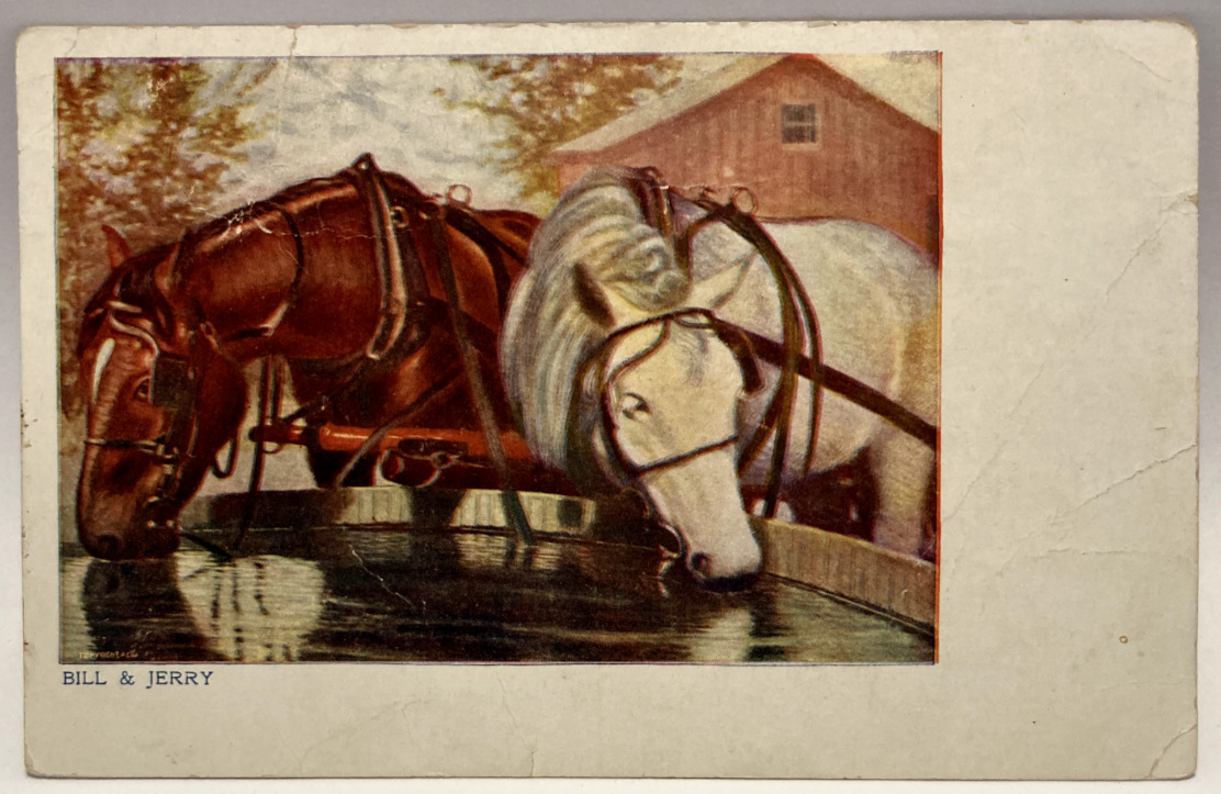 Bill & Jerry, Horses Drinking from Water Trough, Vintage Postcard