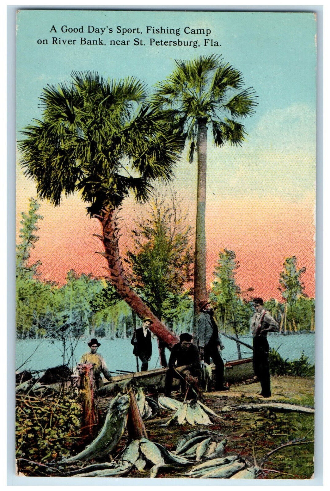 c1910 Good Day\'s Sport Fishing Camp River Bank St. Petersburg FL Postcard