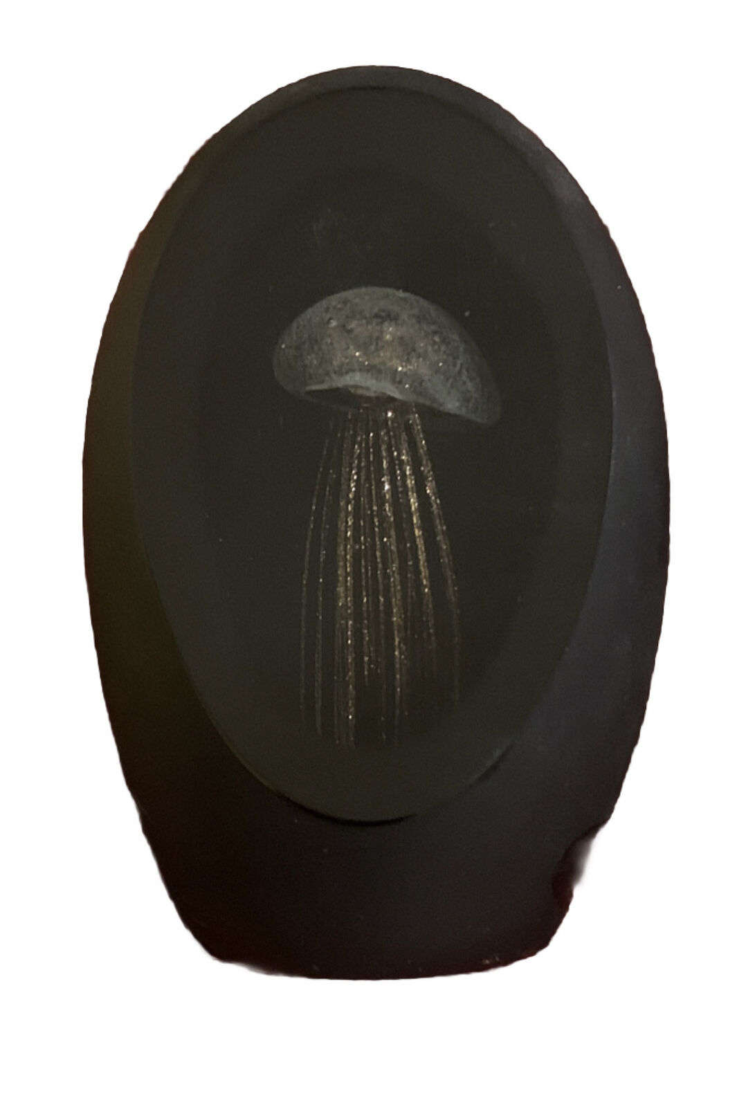 M Design Art Glass White Jellyfish Encased in Black Sculpture