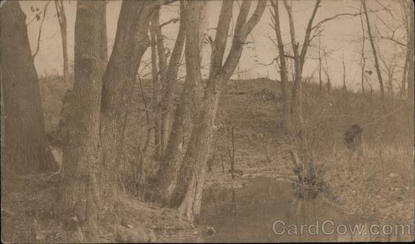 1908 RPPC Wappingers Falls,NY Creek Through Trees Dutchess County New York