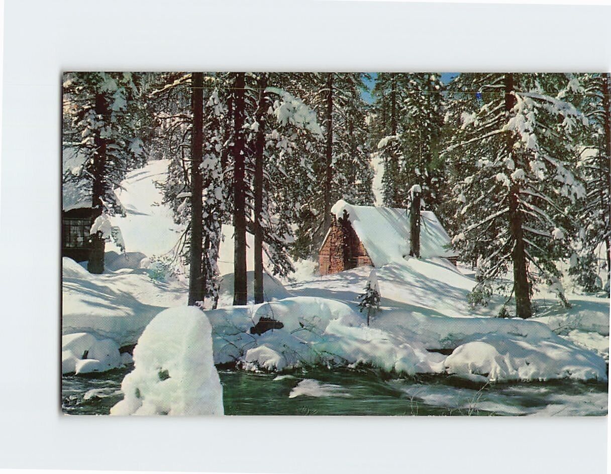 Postcard Winters soft solitude