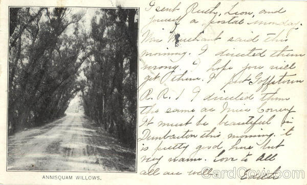 1906 Annisquam Willows,MA Essex County Massachusetts Antique Postcard 1C stamp