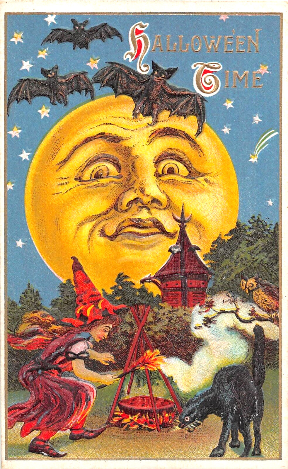 c.1910 Witch Tending Kettle Black Cat & Full Moon Halloween post card