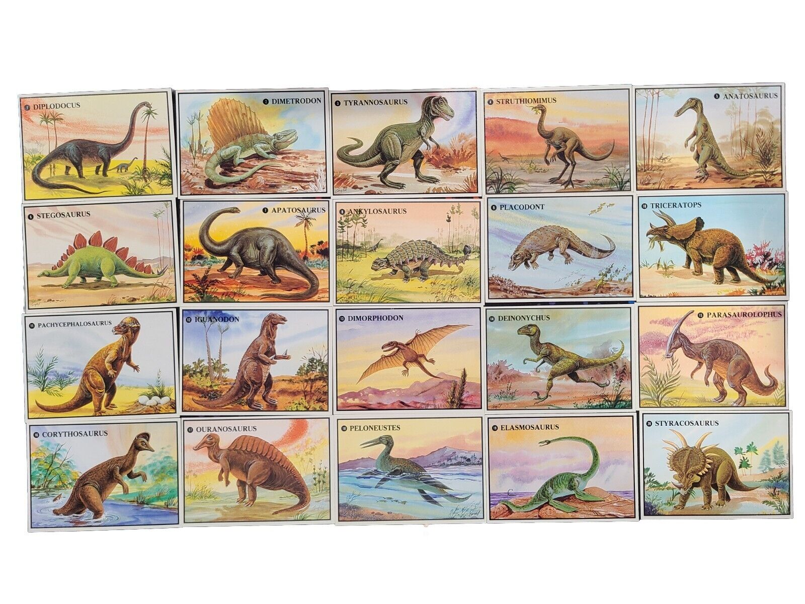 Vintage 1987 Dino Card Company Dinosaurs Set 20 cards W/ Plastic Case Beautiful