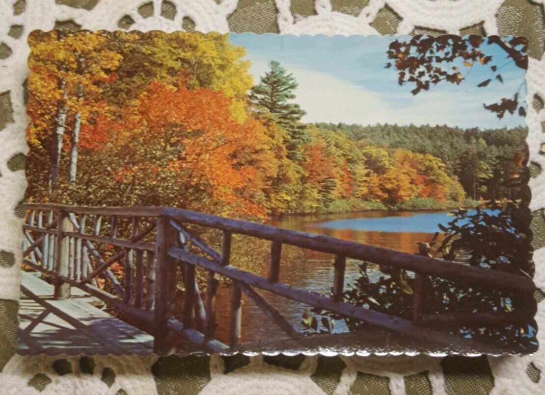 VINTAGE UNPOSTED  POSTCARDS ◇ AUTUMN REFLECTIONS IN MAINE