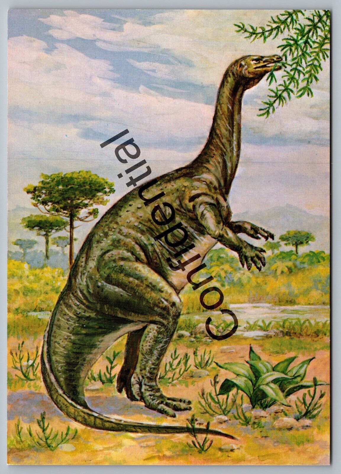 1980s Prehistoric Plateosaurus Triassic Dinosaur Dino Continental Postcard M-19