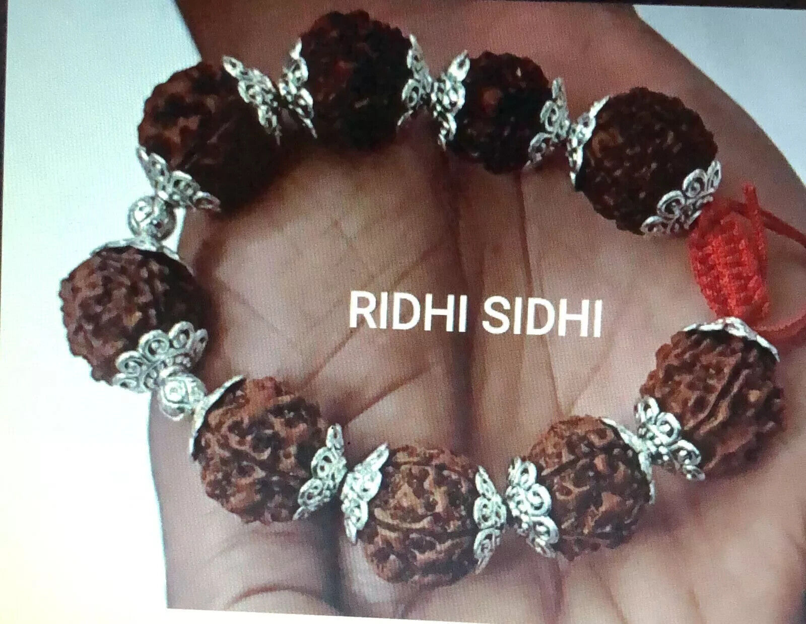 Five 5 Mukhi Rudraksha Bracelet For Health, Wealth, Luck, Richness Attraction