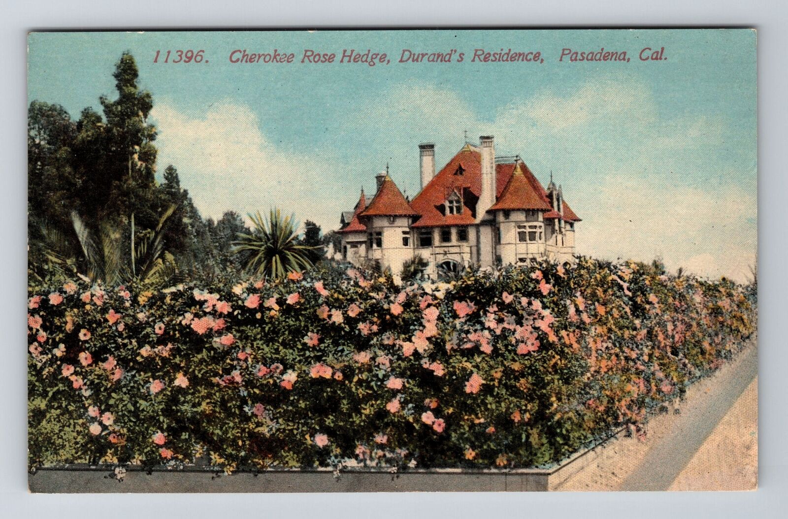 Pasadena CA-California, Cherokee Rose Hedge, Durand Residence Vintage Postcard