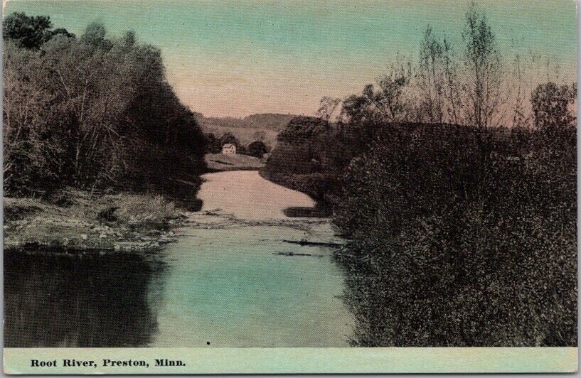 Vintage 1910s PRESTON, Minnesota Postcard \