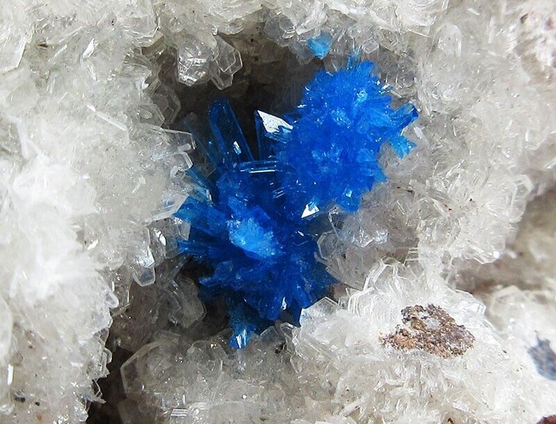 14g exquisite flowery Cavansite crystal mineral specimen,India