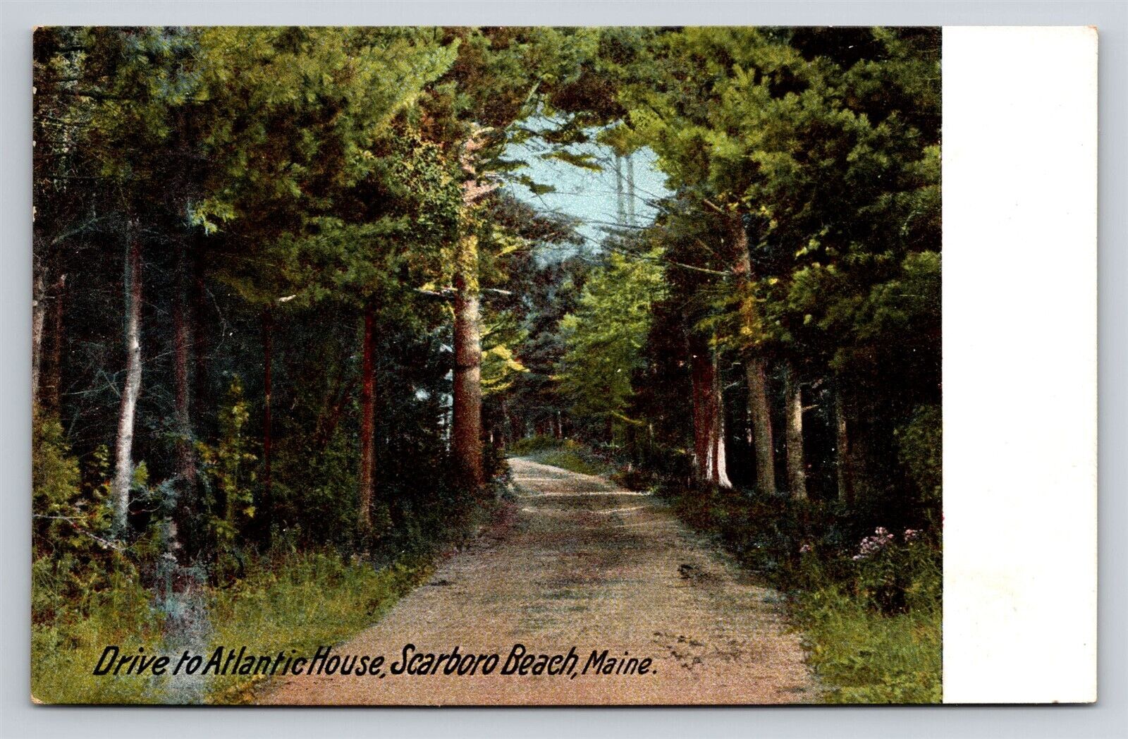 Scarborough Scarboro Beach ME Drive to Atlantic House Old Postcard View 1900s