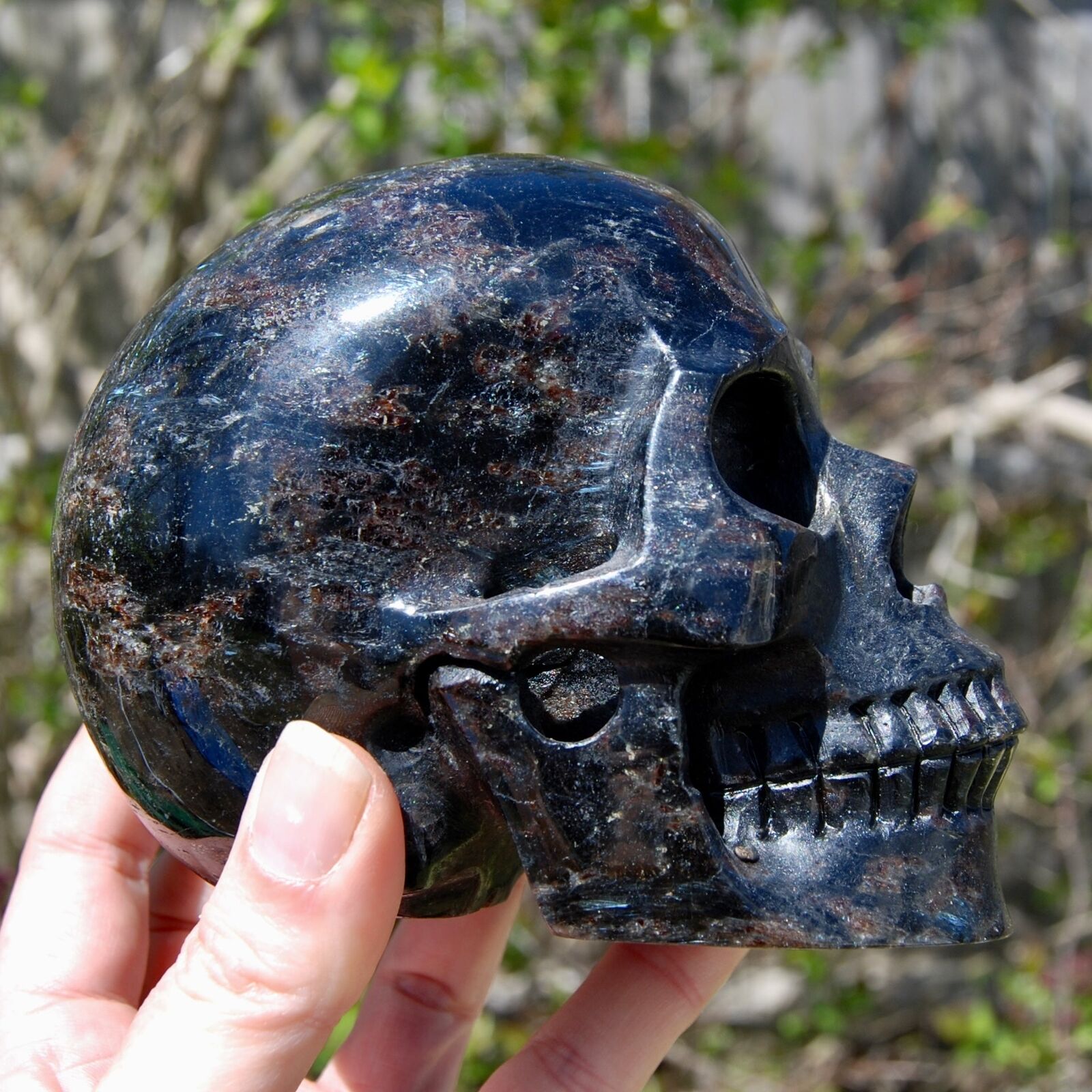5in 3.5lb Huge Flashy Arfvedsonite Garnet Crystal Skull