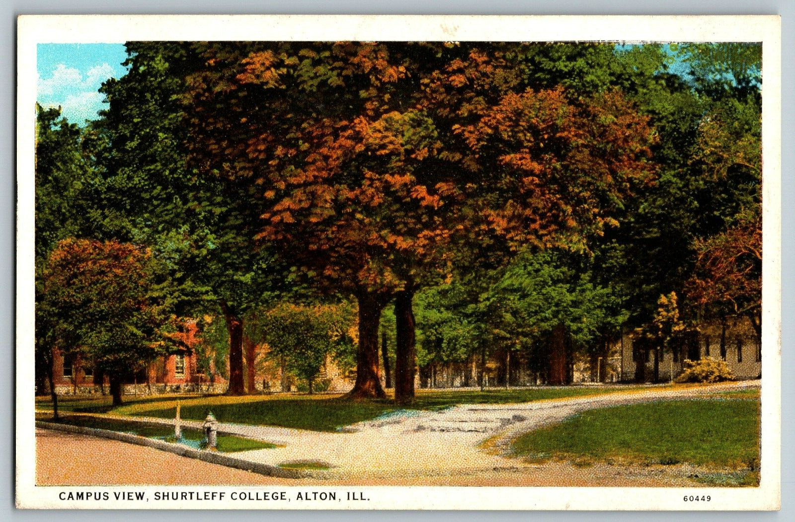 Alton, Illinois - Campus View, Shurtleff College -  Vintage Postcards - Unposted