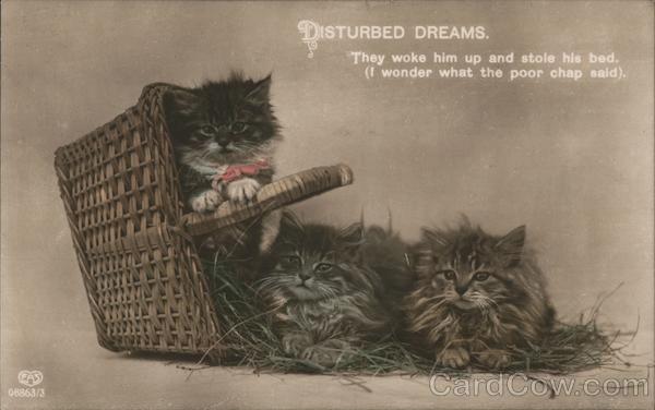 Cats Disturbed Dreams EAS Postcard Vintage Post Card