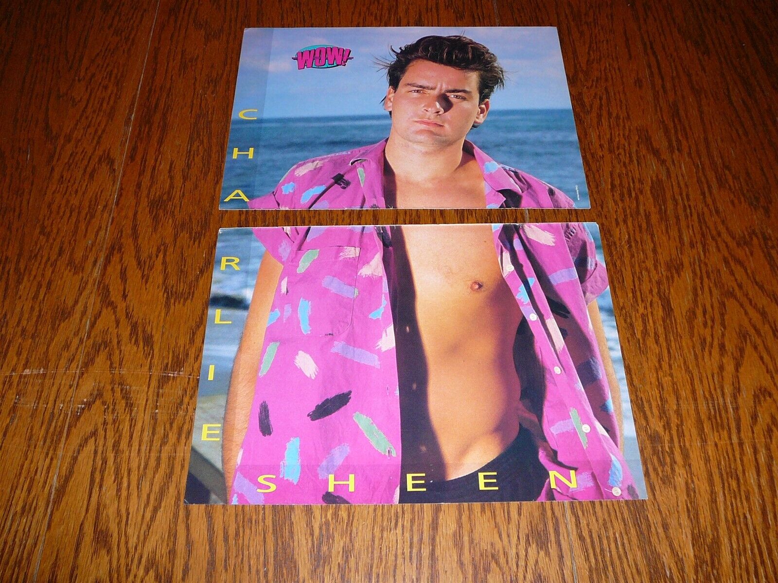 Charlie Sheen shirtless poster Sean Mack Astin pinup Rob Lowe River Pheonix pix