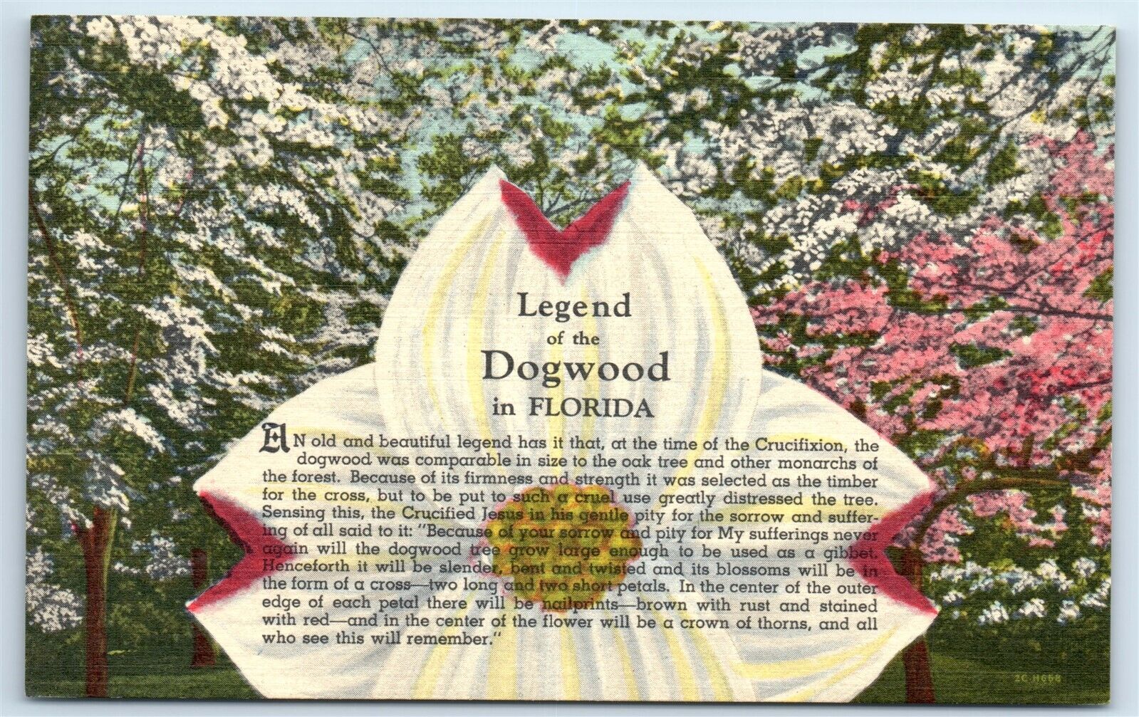 Postcard Legend of the Dogwood in Florida linen J167
