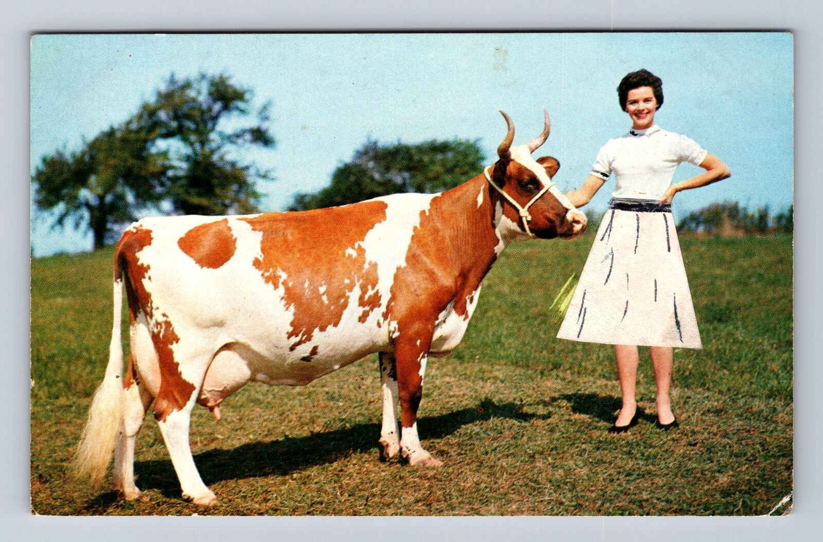 Lancaster PA- Pennsylvania, Dairymen, Antique, Vintage Postcard
