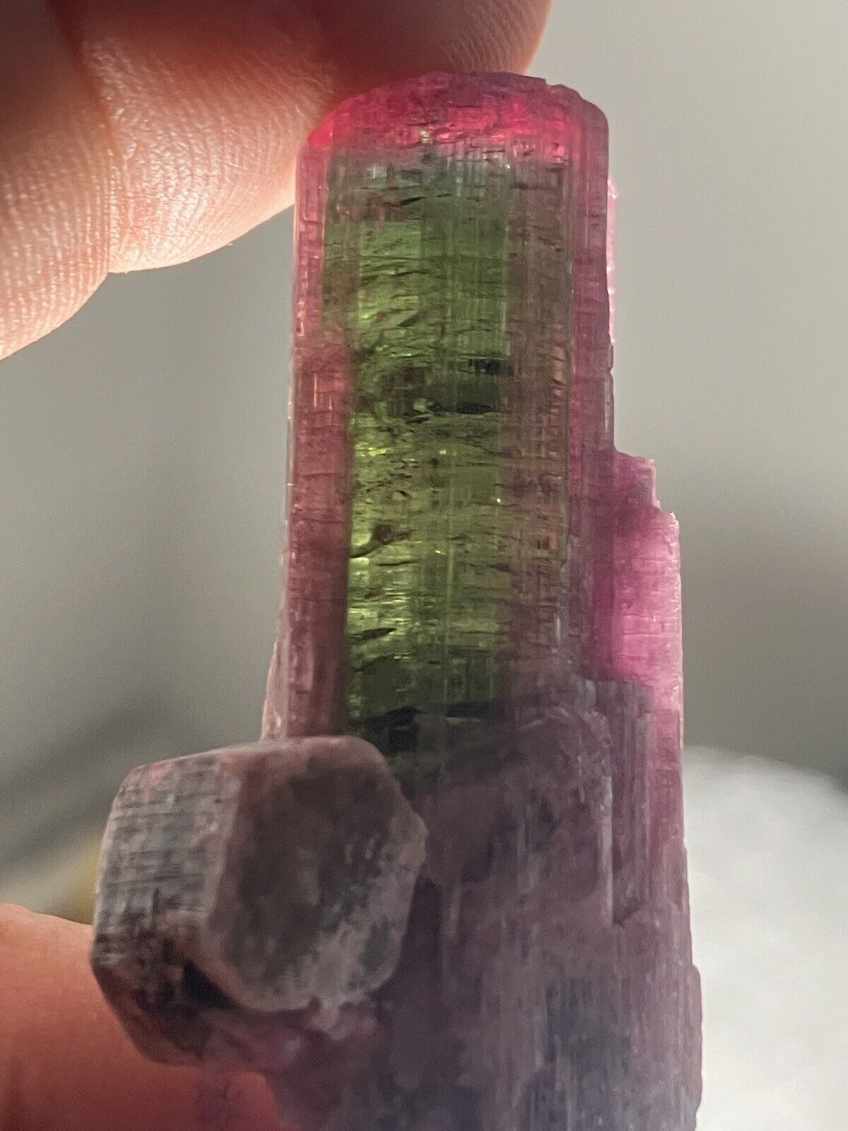 Rare Large Multi Color Tourmaline Crystal Mineral Specimen