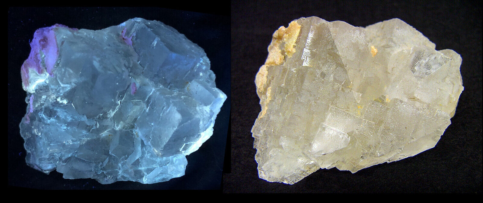 Clear Fluorite, Hammam Zriba Mine, Zaghouan Governorate, Tunisia - Fluorescent