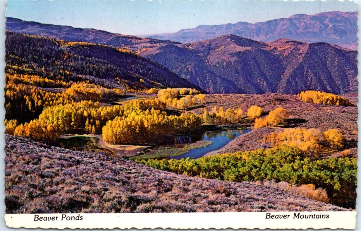 Postcard - Beaver Ponds, Beaver Mountains - Utah