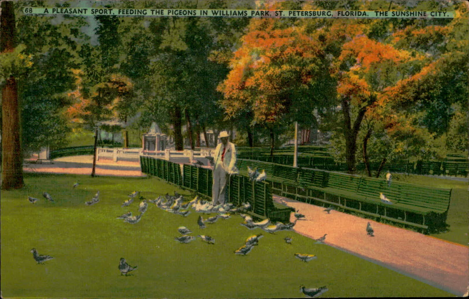 Postcard: 68 A PLEASANT SPORT. FEEDING THE PIGEONS IN WILLIAMS PARK, S