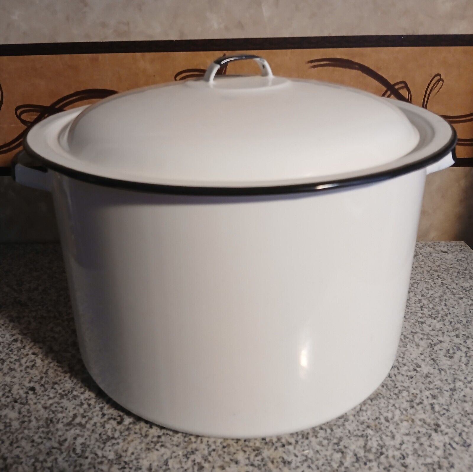 Large White/Black Trim EnamelWare Stock Soup Pot w/Lid 