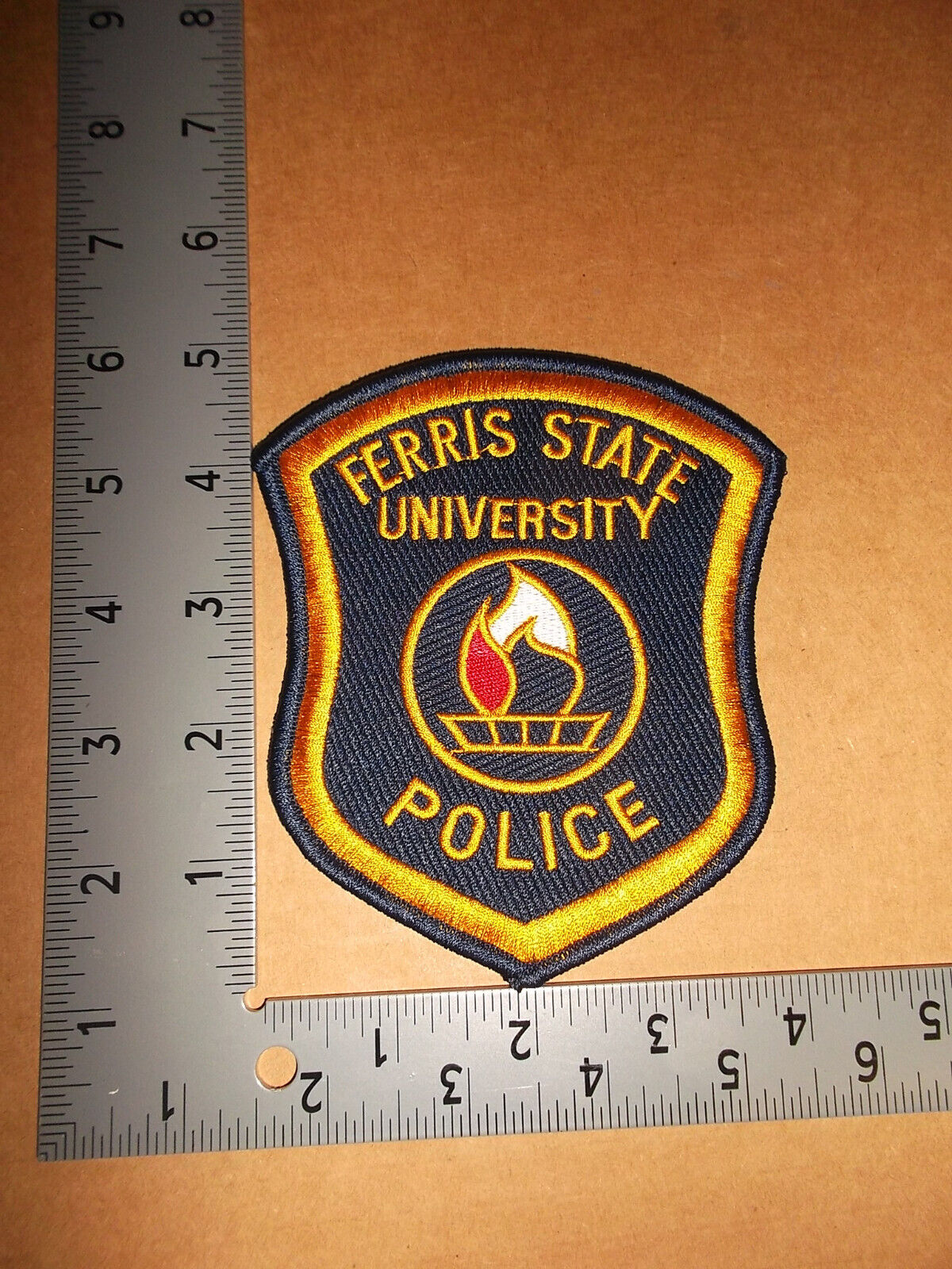 Ferris State University Big Rapids Police Patch~Michigan~MI~Brand New~