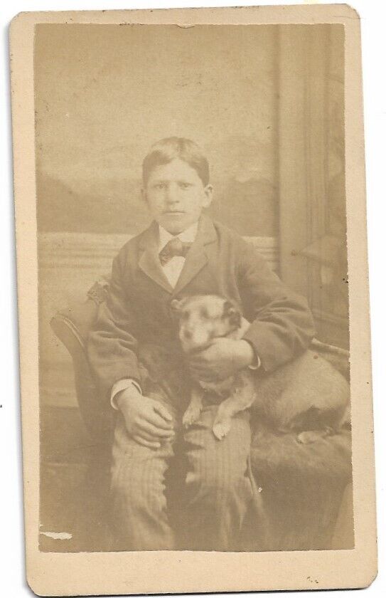 1870s CDV Wonderful Image Small Boy Holding His Chubby Dog