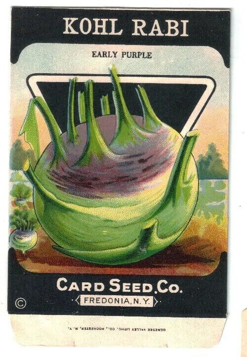 Lot of 4 Vintage Seed Packets Card Seed .Co. Kohl Rabi Lettuce Chicory VGC