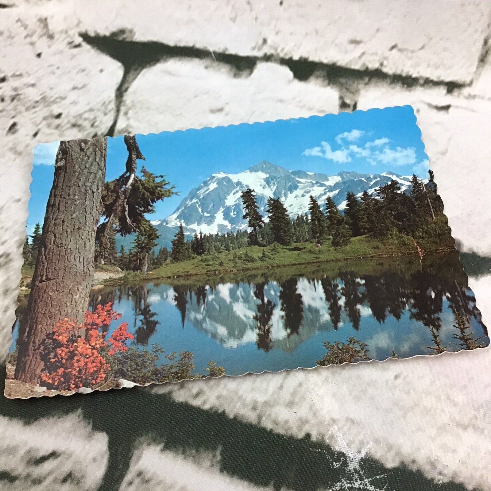 Vintage Postcard MT. Shuksan Heather Meadow MT. Baker National Park Scenic Land