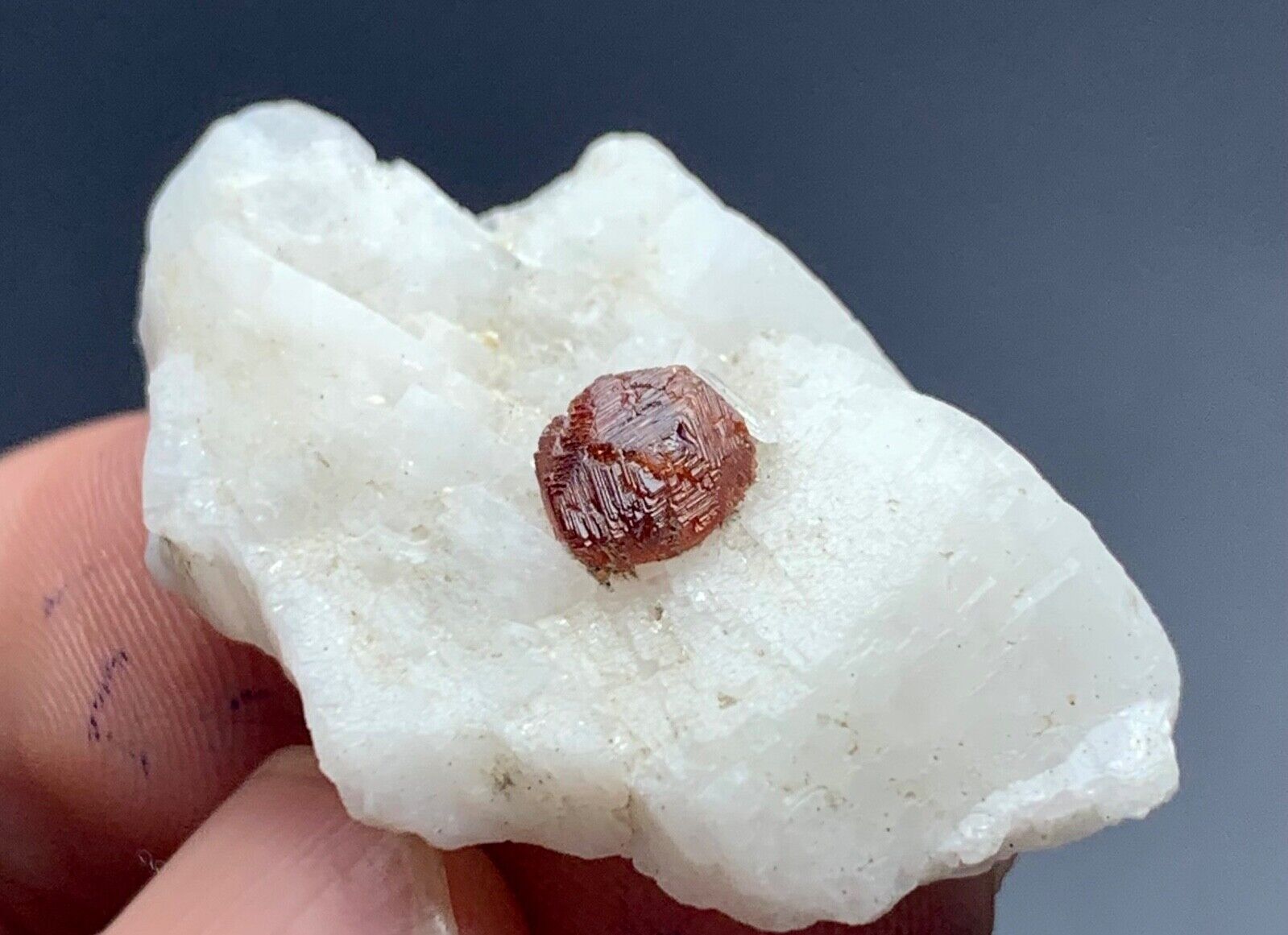 37 Cts Natural Garnet Crystal Specimen from Afghanistan. Zkr