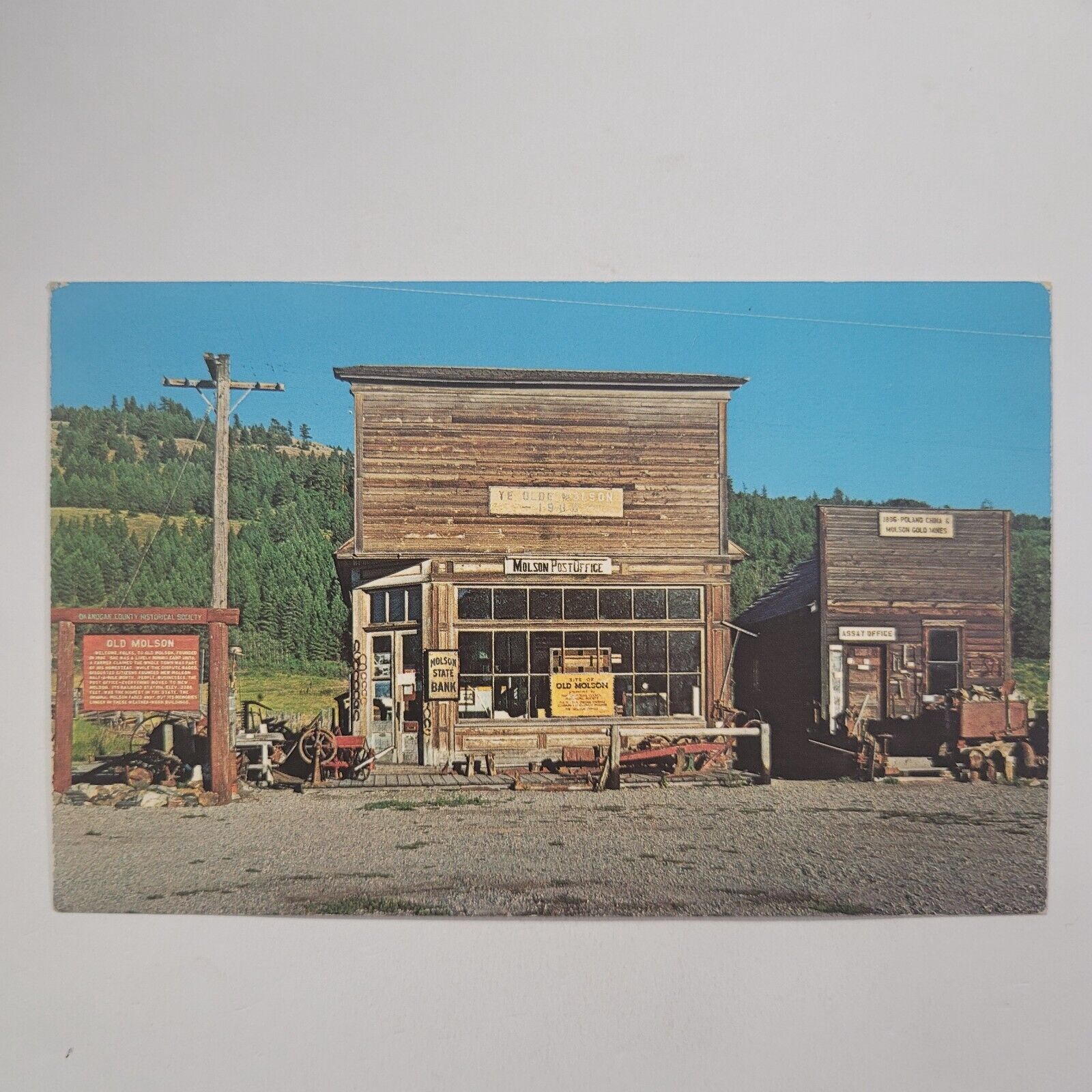 Old Molson Mining Camp Post Office State Bank Assay Office VTG Chrome Postcard