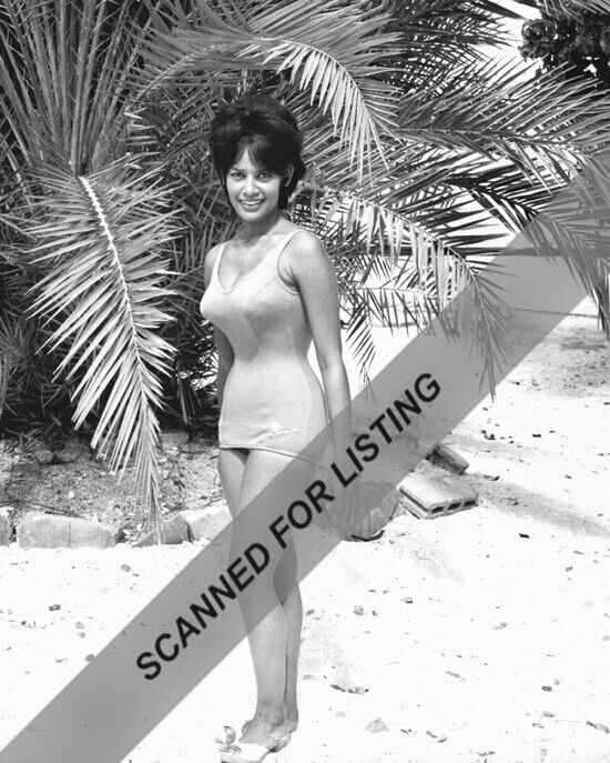 JAMES BOND Dr. No GIRL / Miss Jamaica Marguerite LeWars 8x10 PHOTO #8933