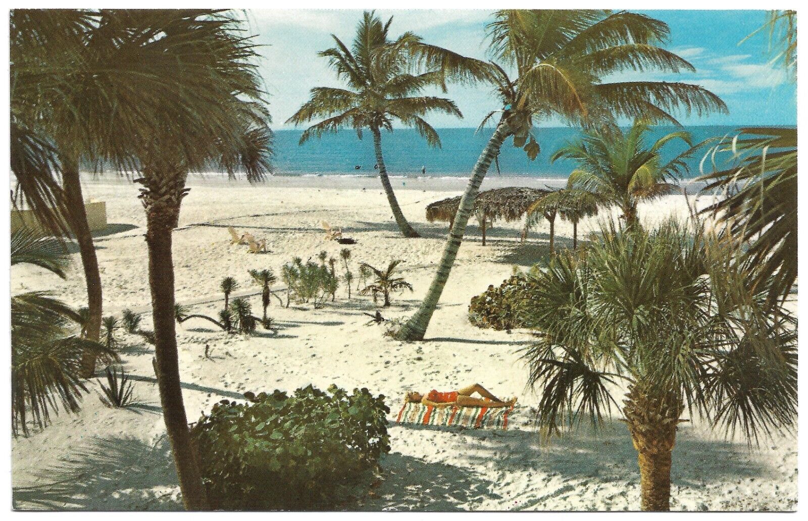 St Petersburg Beach Florida From The Normandy Woman Sunbathing Vintage Postcard
