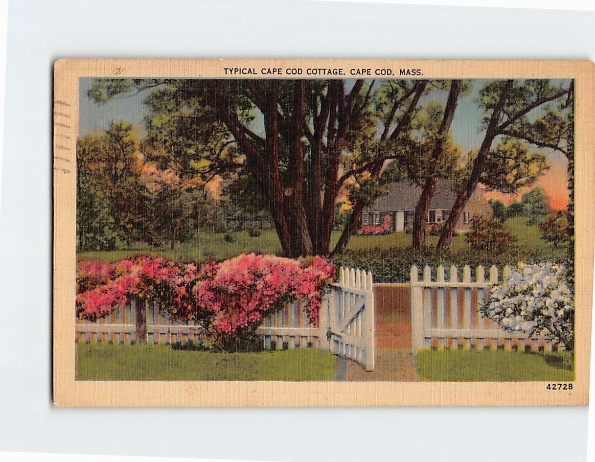 Postcard Typical Cape Cod Cottage, Cape Cod, Dennis, Massachusetts