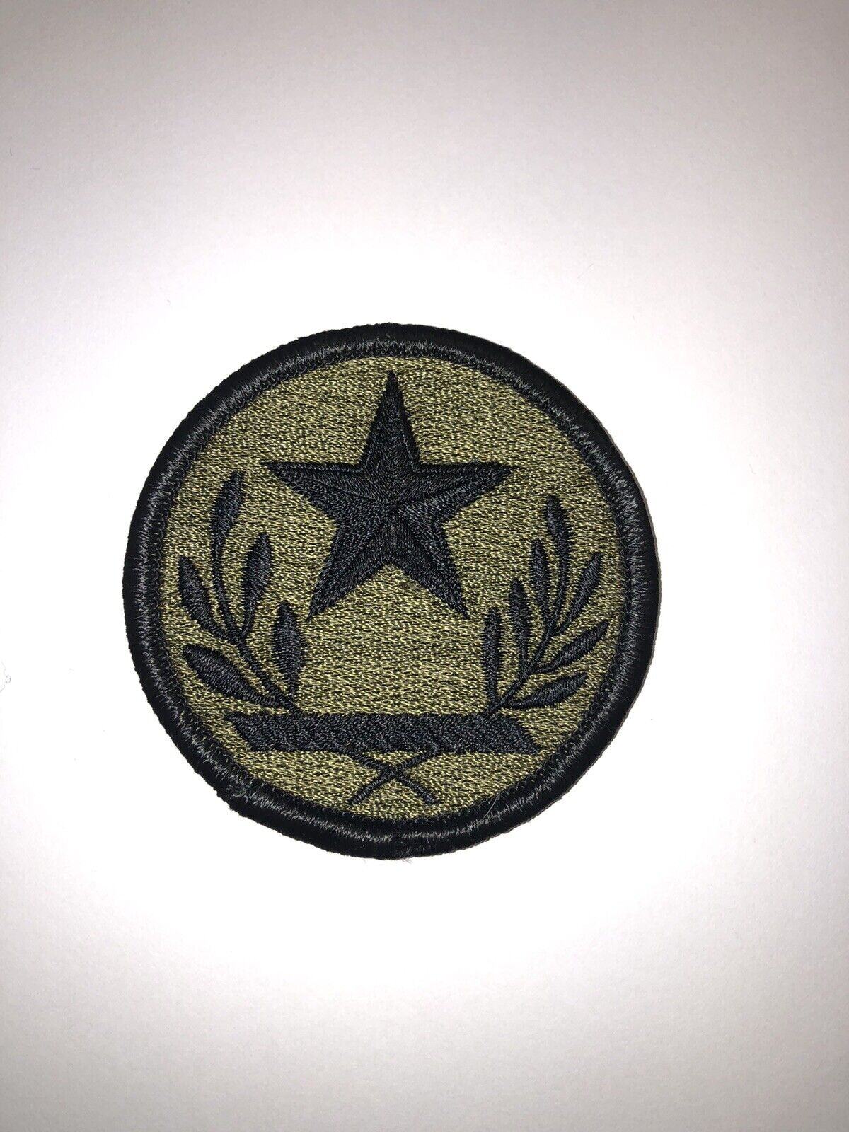 Texas National Guard Subdued BDU U.S. Army Patch