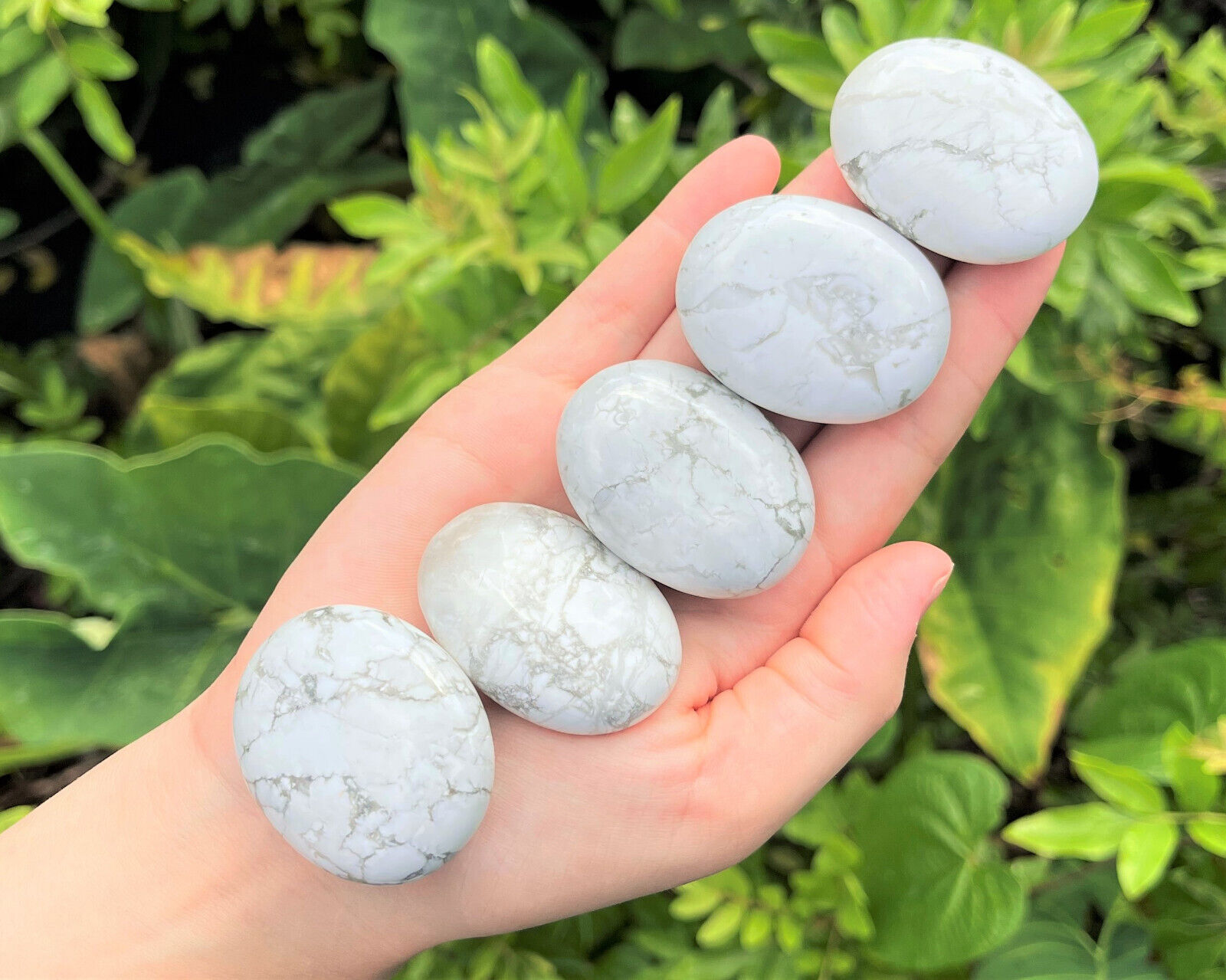 White Howlite Hand Polished Stones (White Howlite Pebbles, Howlite Palm Stone)