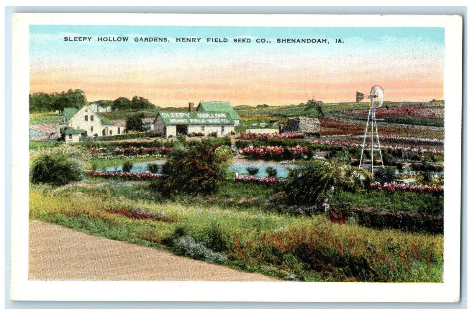 c1920 Sleepy Hollow Gardens Henry Field Seed Shenandoah Iowa IA Vintage Postcard