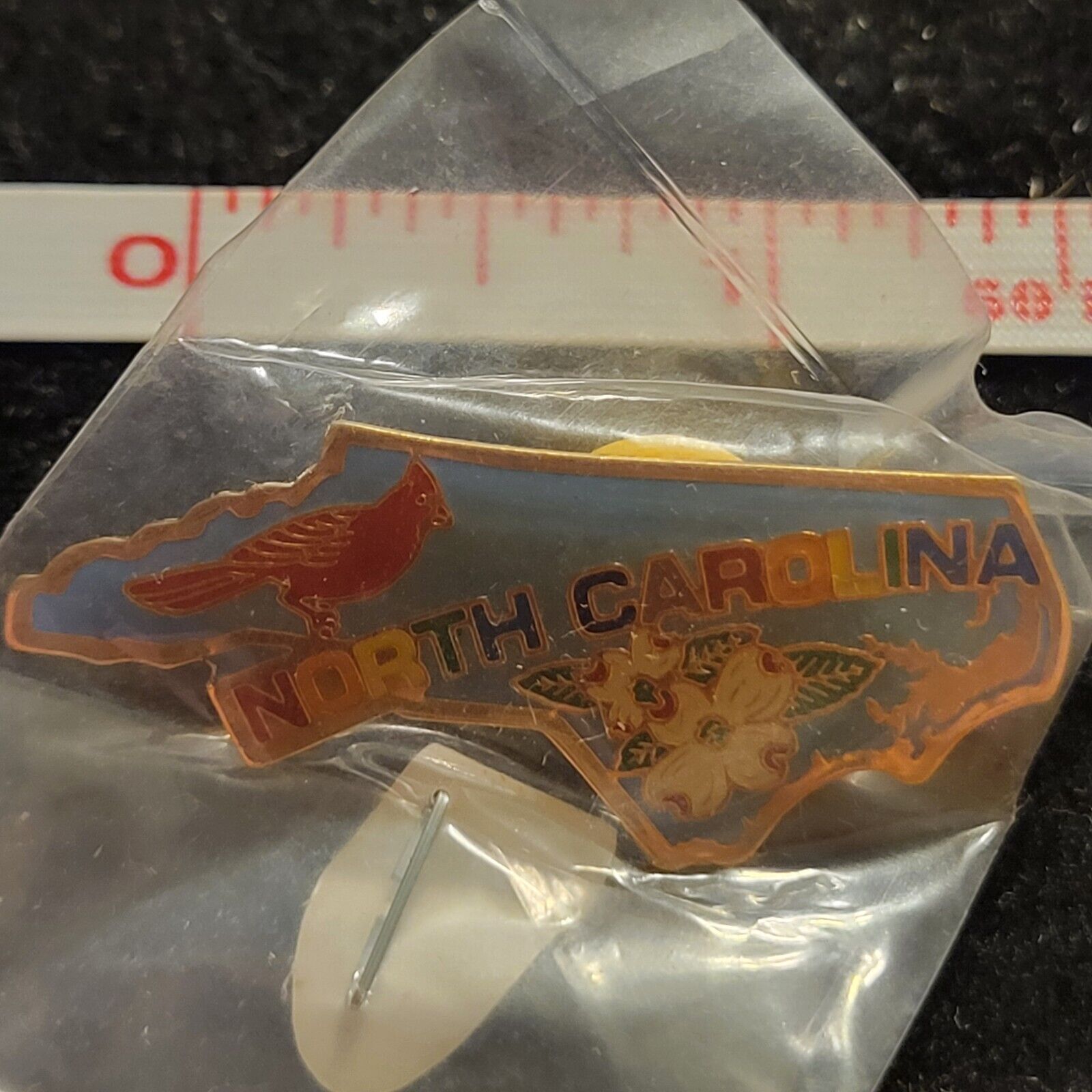 North Carolina NC Souvenir State Lapel Pin Hat Vest Tie Tack resin gold tone