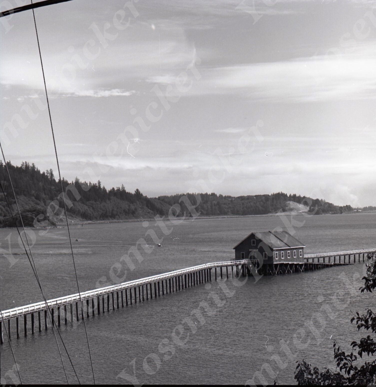 a15 Original Negative 1966 Garibaldi Coast Guard Pier 951a