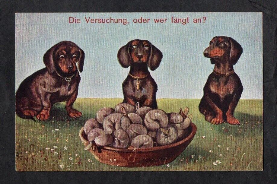 DACHSHUND Dogs Tempted by Bowl of Yummy Sausage