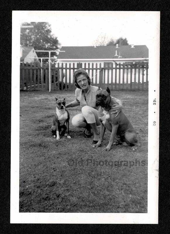 2 HANDSOME DOGS BOXERS POSING w/WOMAN IN YARD OLD/VINTAGE PHOTO SNAPSHOT- L590