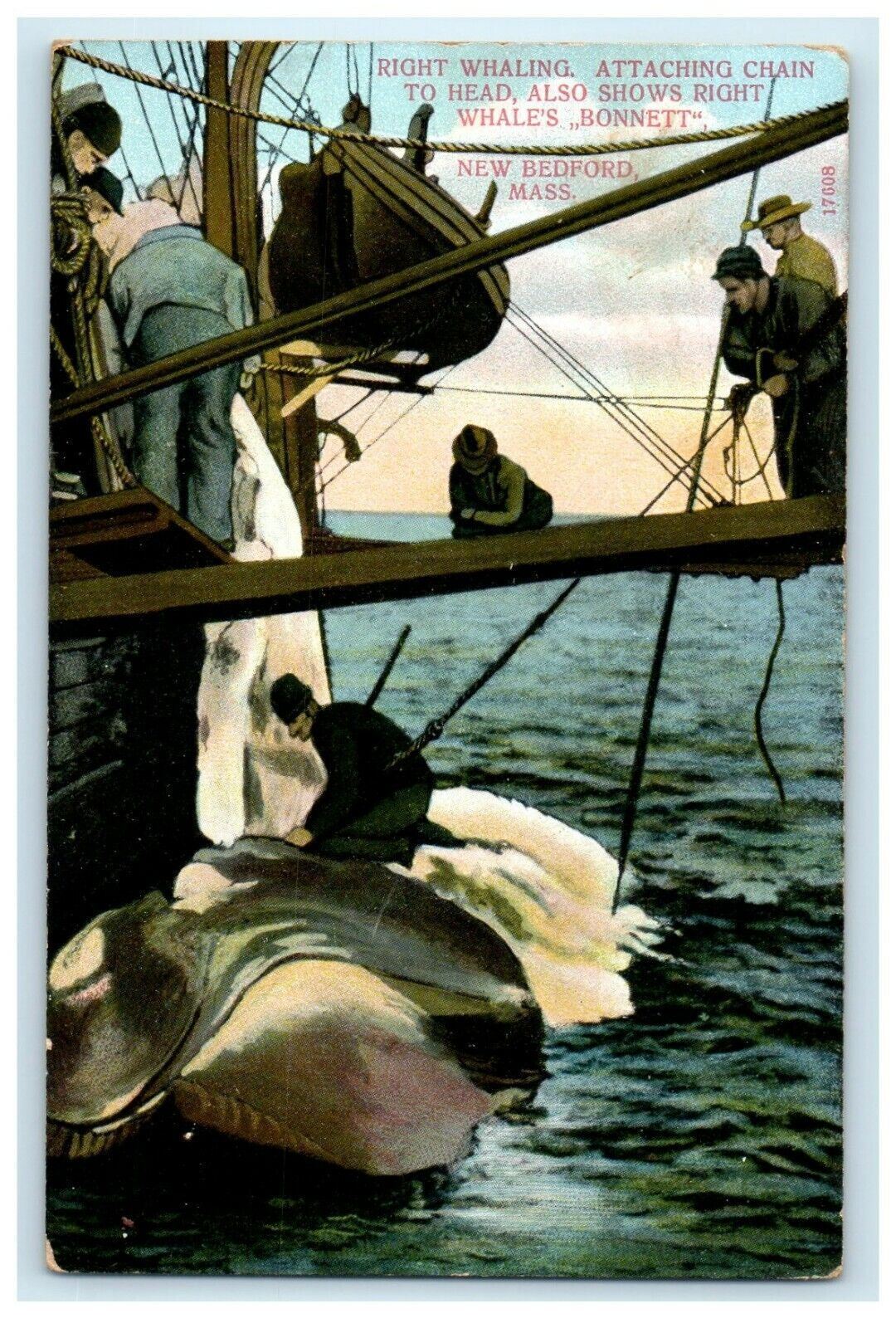 1909 Right Whaling Attaching Chain Bonnett New Bedford Massachusetts MA Postcard
