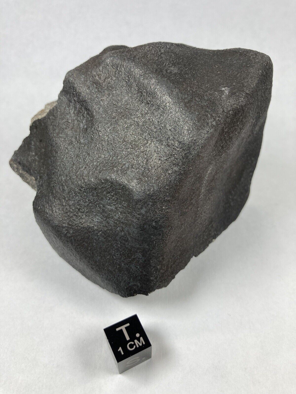 Bassikounou Meteorite Large 491 Gram Specimen