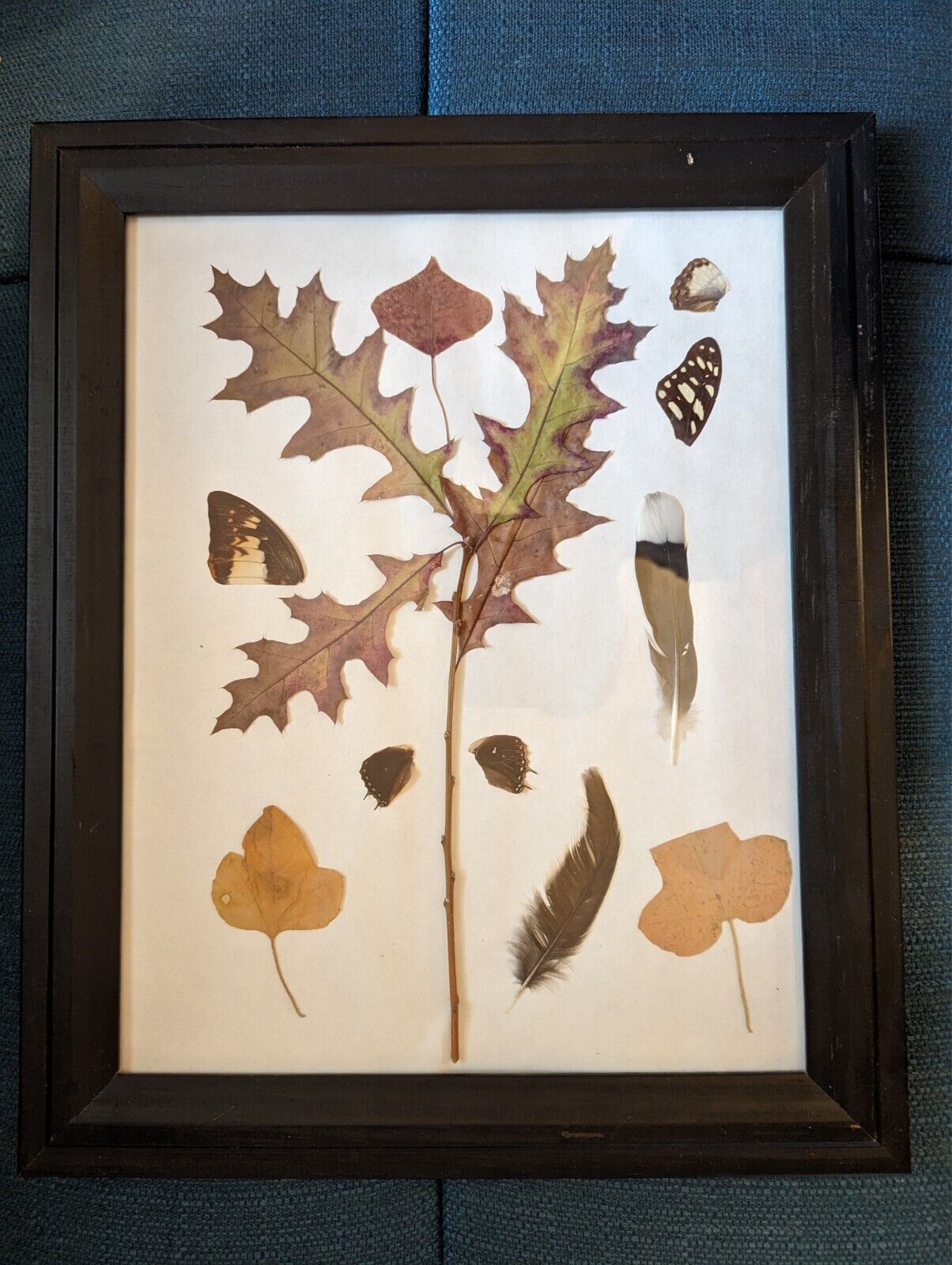 Antique Flower Decor Picture #2 Mixture of Butterfly Wings, Bird feathers, Leafs