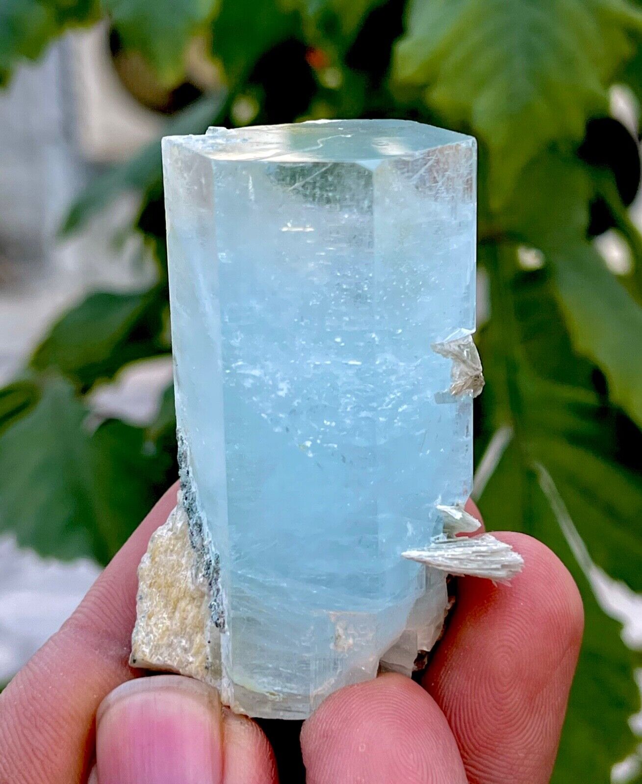 360 Carat Blue Aquamarine Crystal With Muscovite Combine @ Mineral Specimens