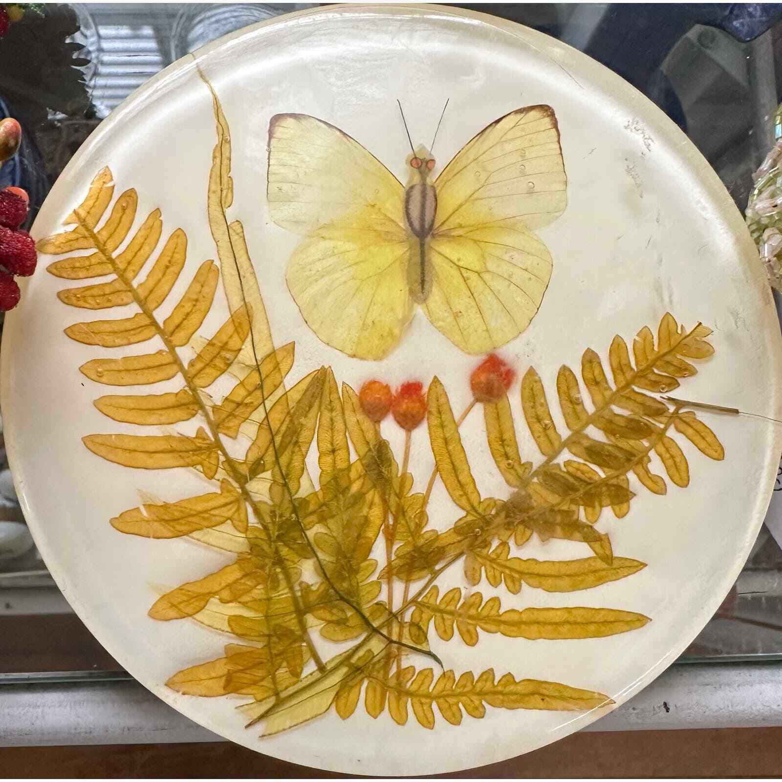 Vintage 70\'s Acrylic Lucite TRIVET Dried Ferns & Butterfly
