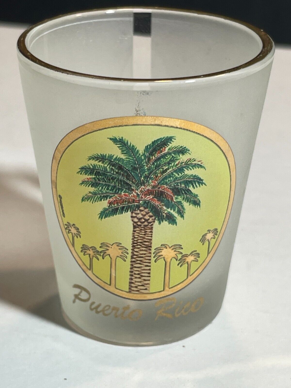 Puerto Rico Frosted Shot Glass Palm Trees