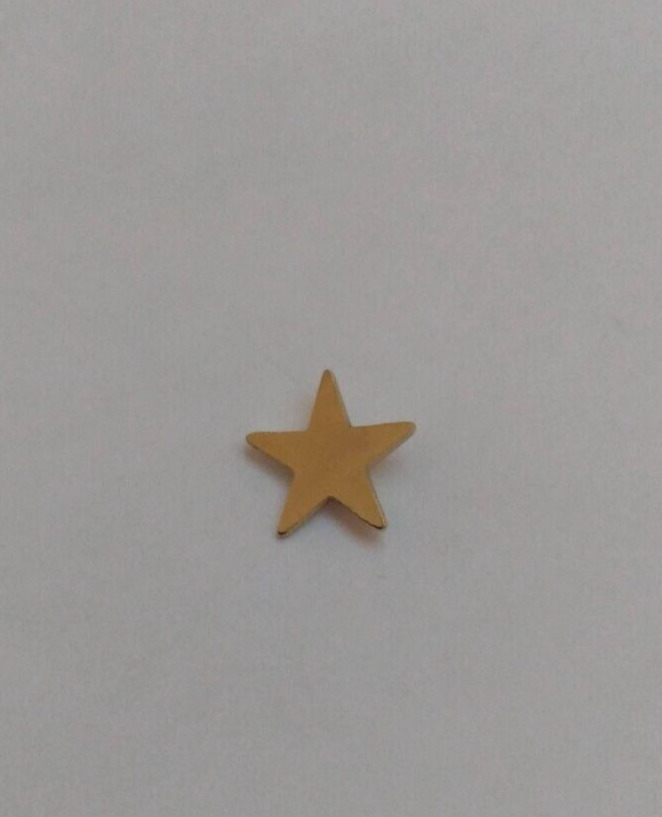 Small Gold Tone Star Tie Tack Lapel Pin