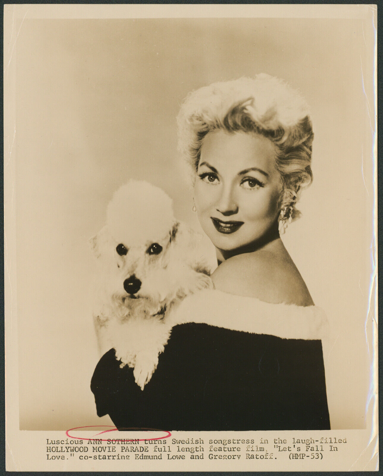 Vintage 8x10 Photo Hollywood Actress Ann Sothern & Dog Portrait